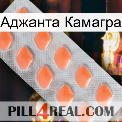 Аджанта Камагра 26